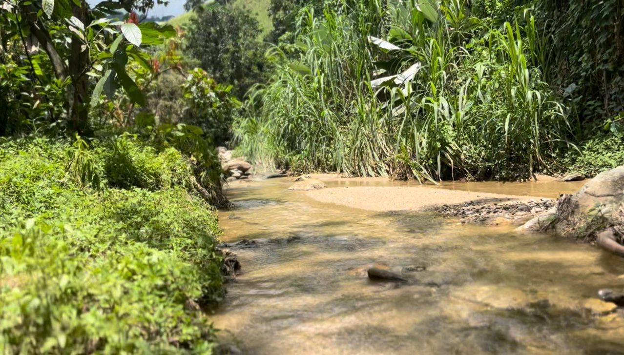 WhatsApp-Image-2023-06-15-at-13.04.00-2