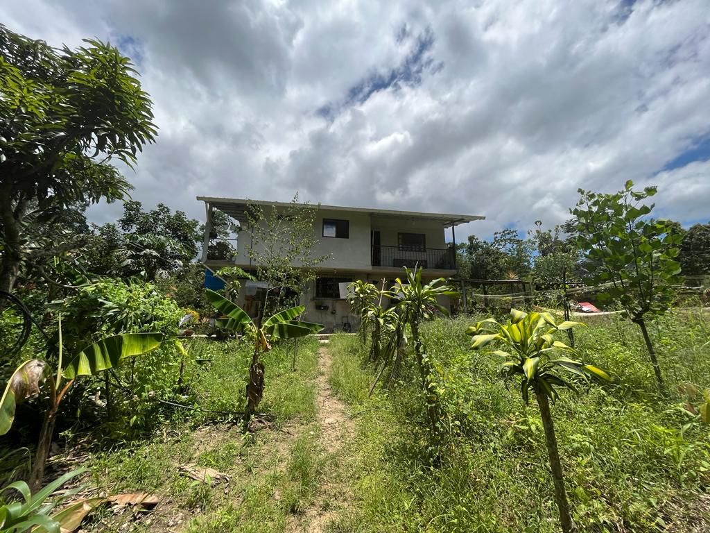 WhatsApp-Image-2023-06-15-at-13.04.00