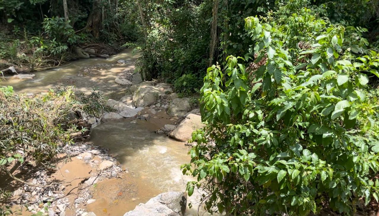 WhatsApp-Image-2023-06-15-at-13.04.01