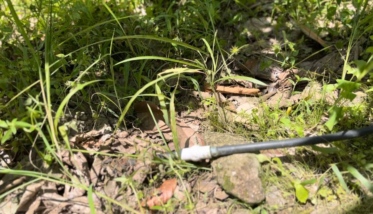 WhatsApp-Image-2023-06-15-at-13.04.02