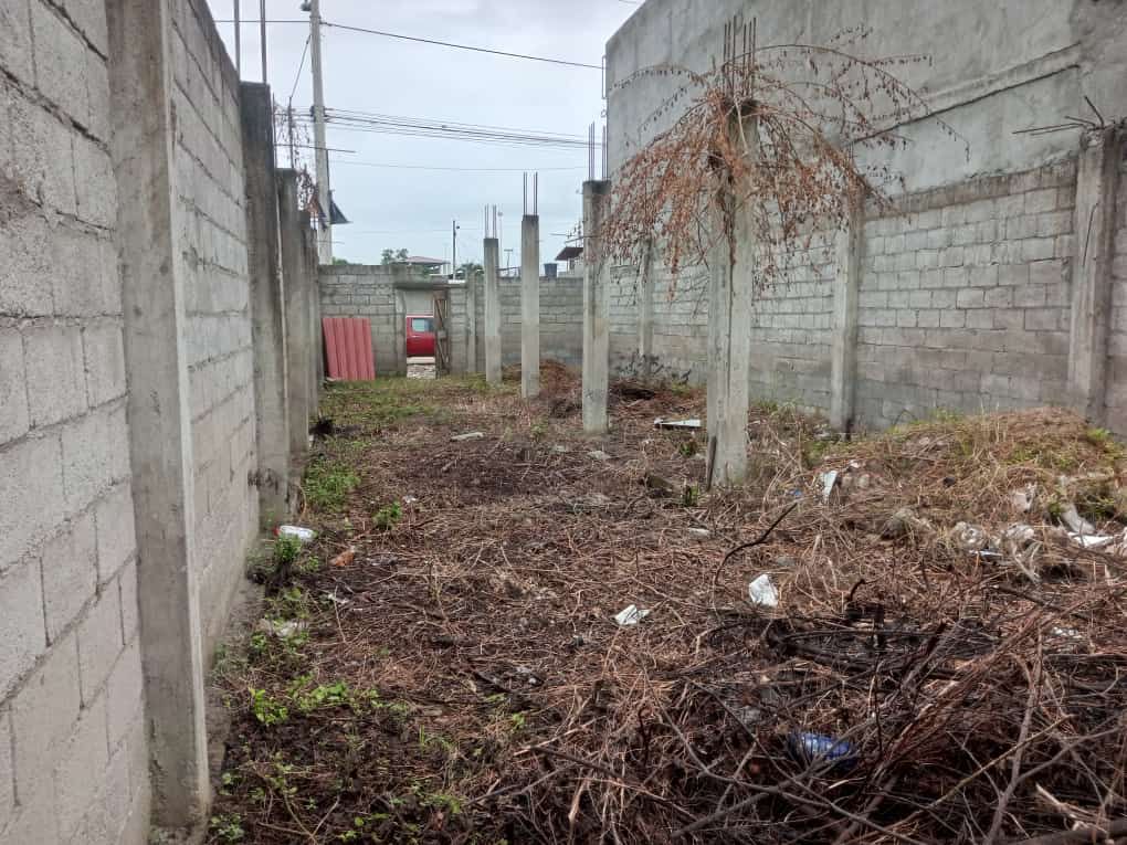 Imagen-de-WhatsApp-2023-07-11-a-las-12.11.182