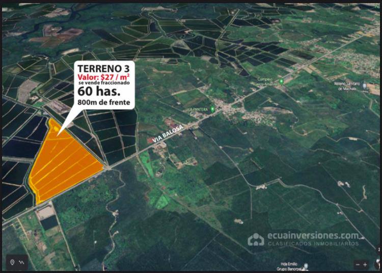 WhatsApp-Image-2024-02-05-at-17.49.48