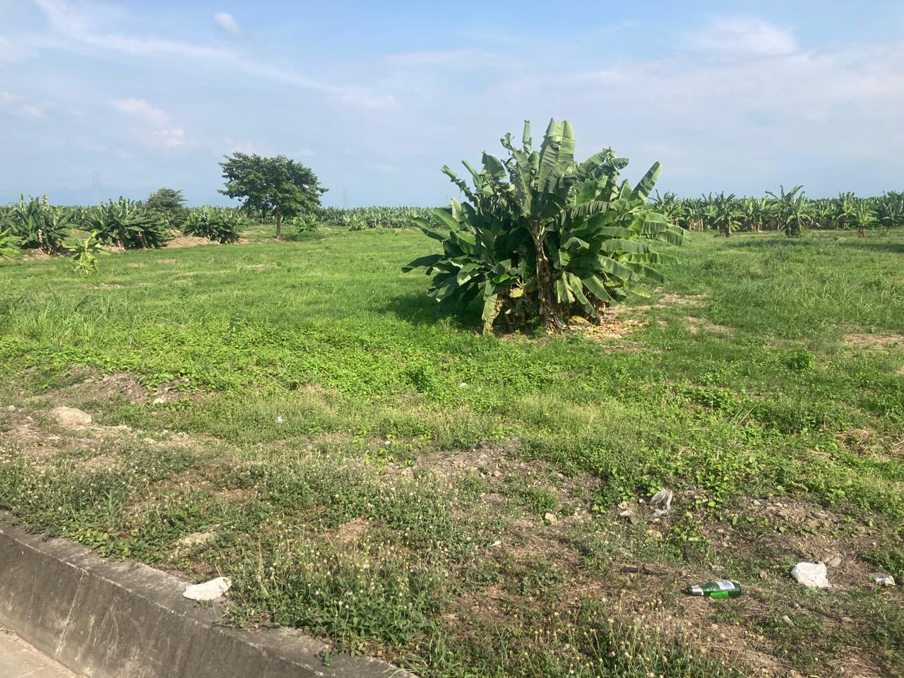 WhatsApp-Image-2024-02-06-at-10.43.40-1