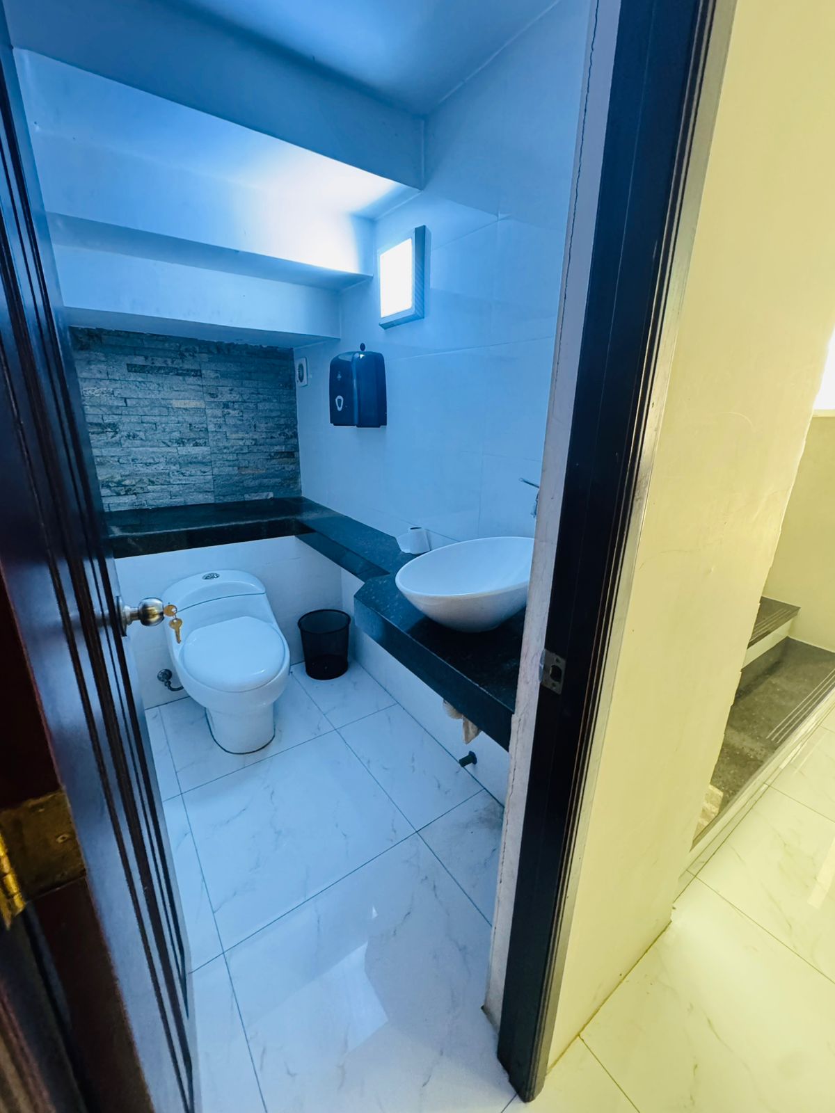 Casa-y-local-en-venta-3