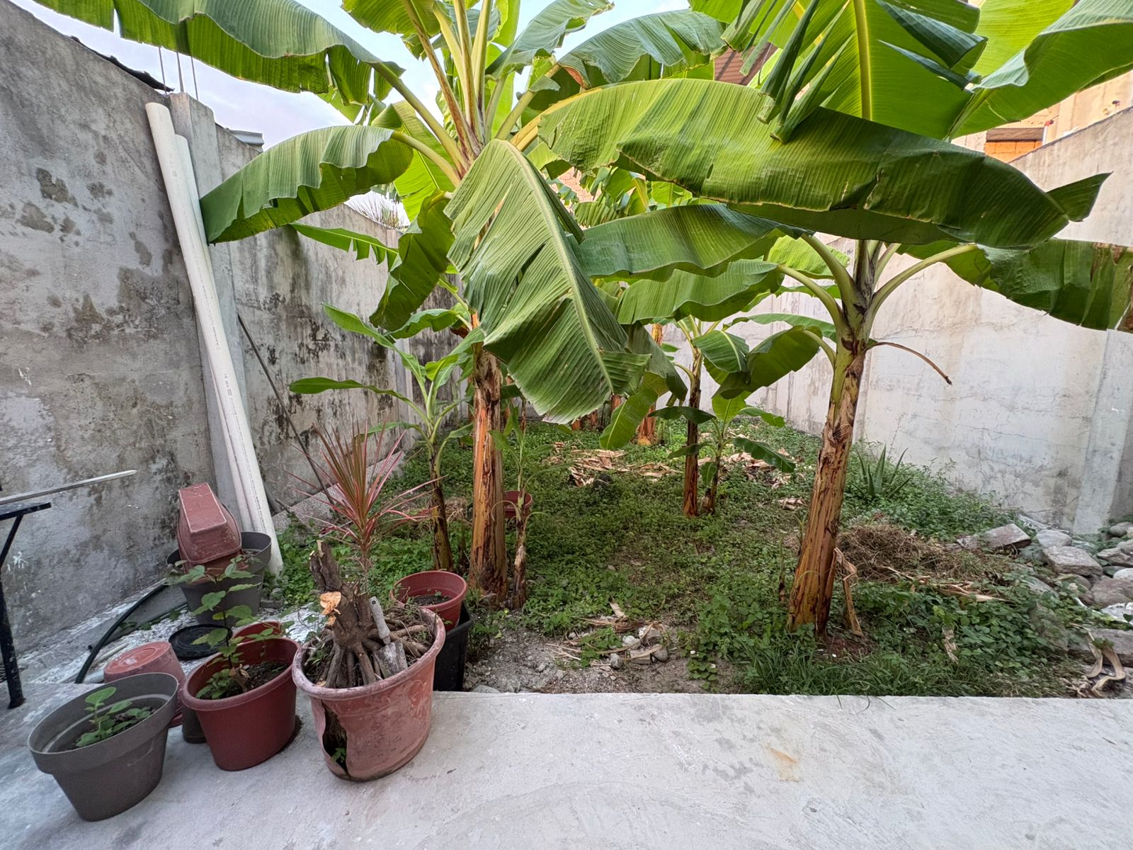 casa-en-venta-10-1